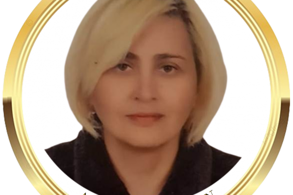 Ambassador for Humanitarian Affairs in the Council